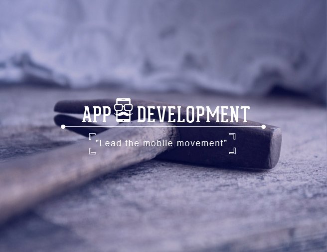 APP Development